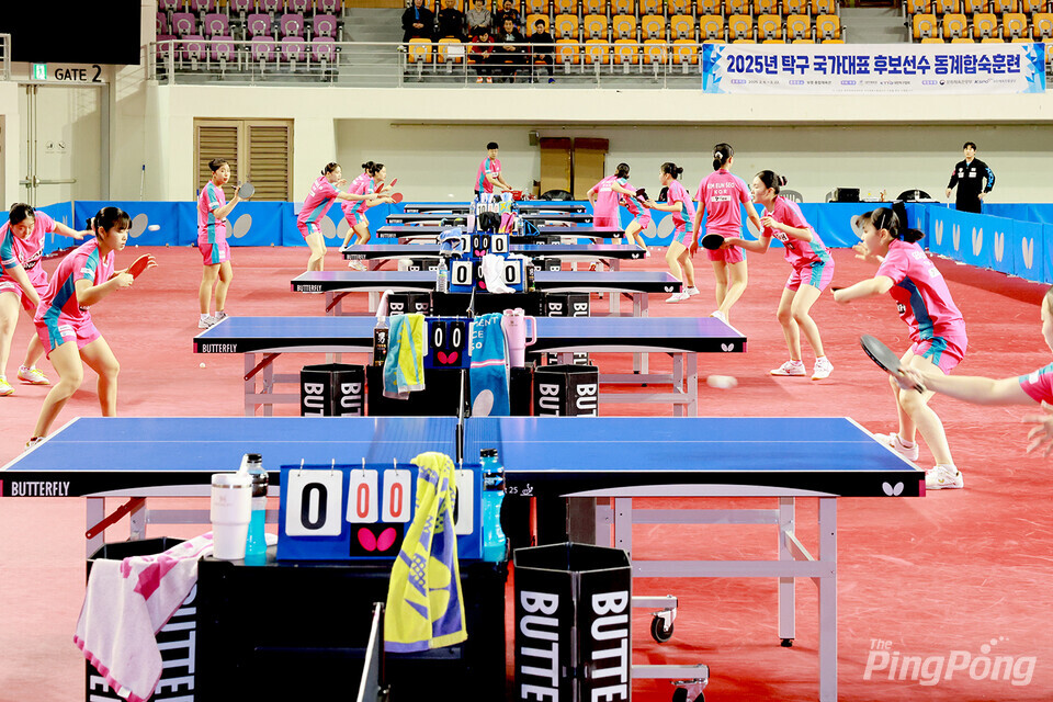 ▲ 2025년 탁구 국가대표 후보선수 동계합숙훈련이 보령실내체육관에서 진행되고 있다. 사진_후보선수단 제공.